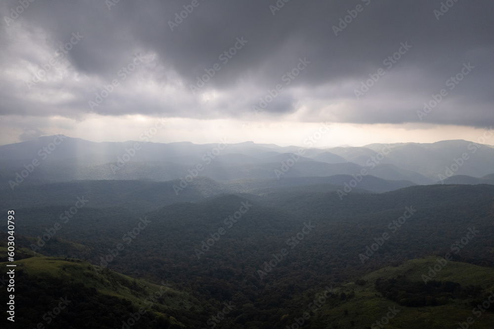 Rain aerial view to forest, dark weather