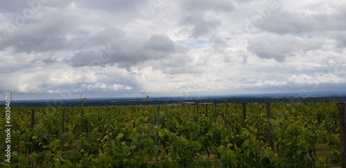 himmel, gras, landschaft, 