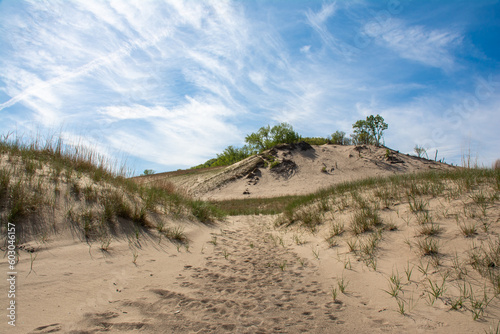 Sand dunes and trails at Warren Dunes State Park, Michigan, USA.