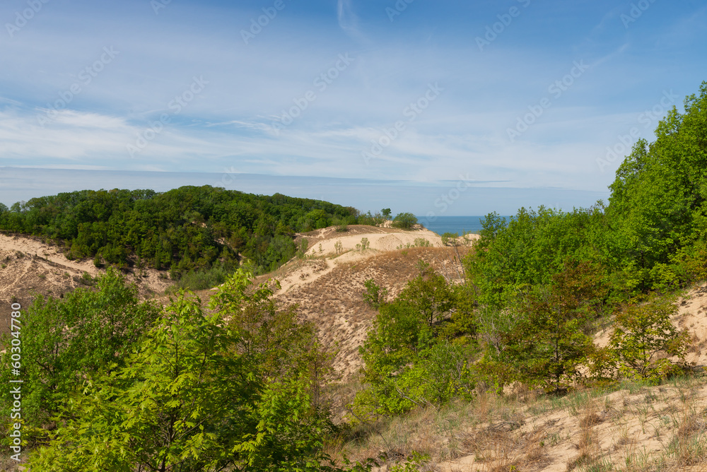 Landscape at Warren Dunes.