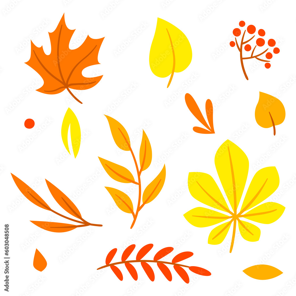 Set of autumn leaves and plants. Beautiful decorative natural plants and foliage. Set of autumn leaves and plants. Beautiful decorative natural plants and foliage.