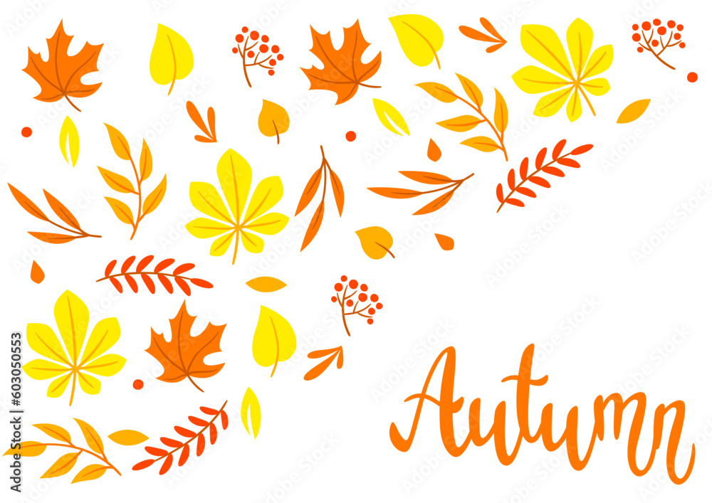 Background with autumn leaves. Beautiful decorative natural plants and foliage.