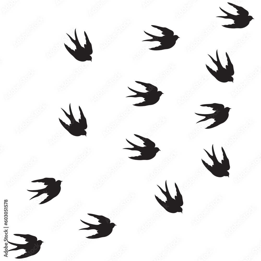 Obraz premium swallow logo vector illustration design template.