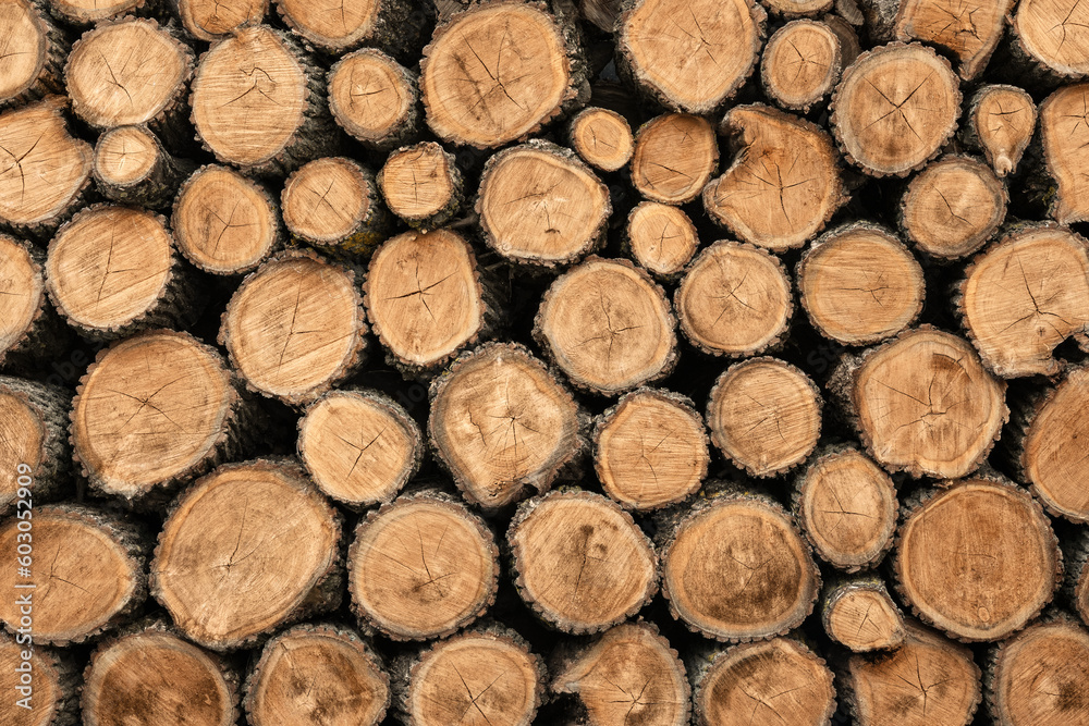 Newly-sawn logs, stacked. Timber. Wall with wooden decorative panels. Front view. Natural background, ready for collection, texture, firewood, banner. Newly-sawn logs, stacked. Timber. Wall with wooden decorative panels. Front view. Natural background, ready for collection, texture, firewood, banner.