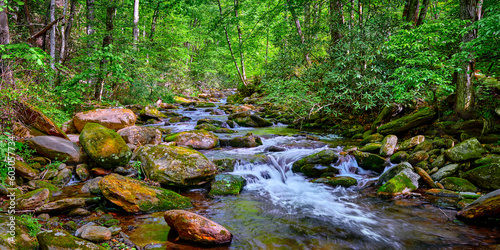 Curtis Creek near Curtis Creek Campground in the Pisgah National Forest North Carolina. photo