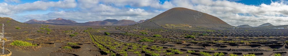Panoramic view over barren volcanic Timanfaya National Park on Lanzarote with vines Panoramic view over barren volcanic Timanfaya National Park on Lanzarote with vines