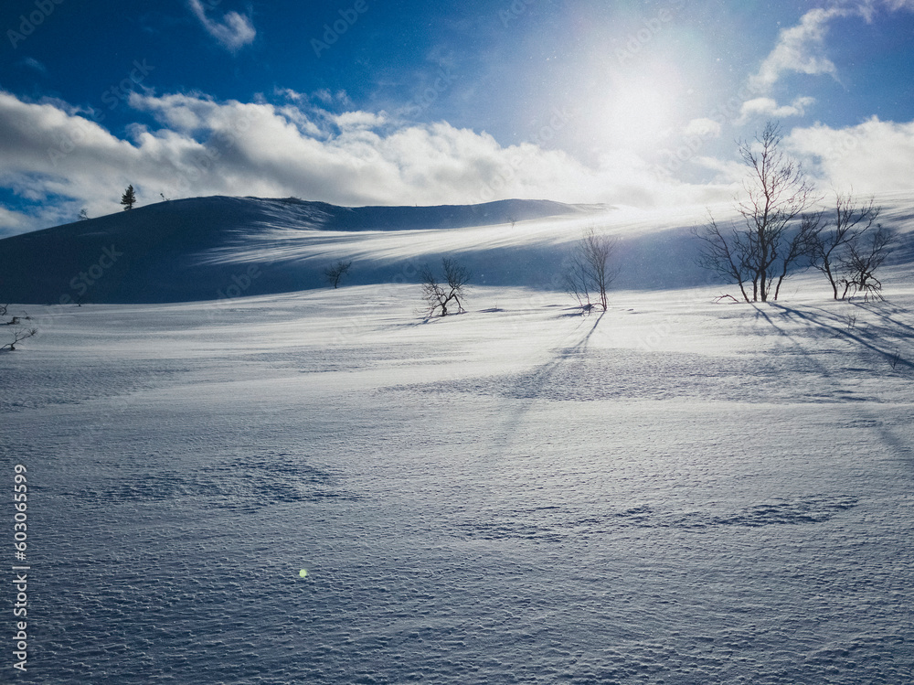 The Nature of a Fell Offers a Wide View of the Northern Environment