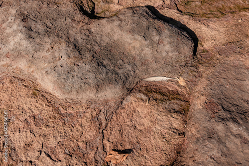 Rock texture with a feather. Sandstone 