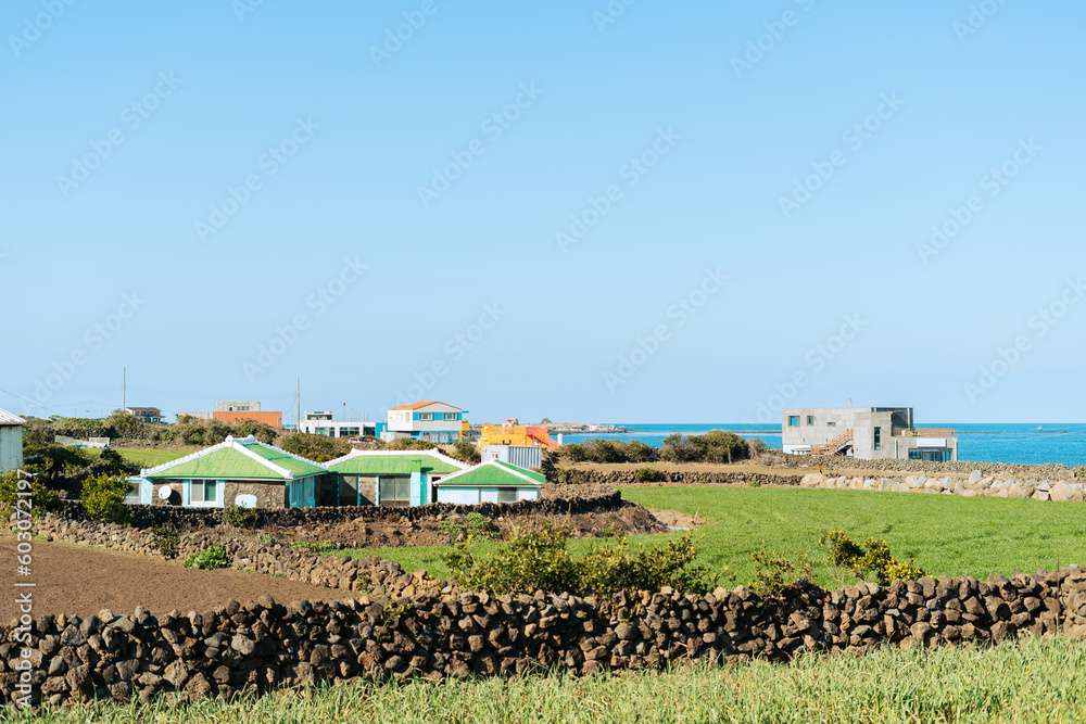 Udo island olle trail, seaside country village in Jeju island, Korea