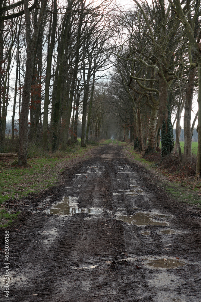 Obraz premium Walking and cycling trail - around Montfort L'amaury - Yvelines - Ile-de-France - France
