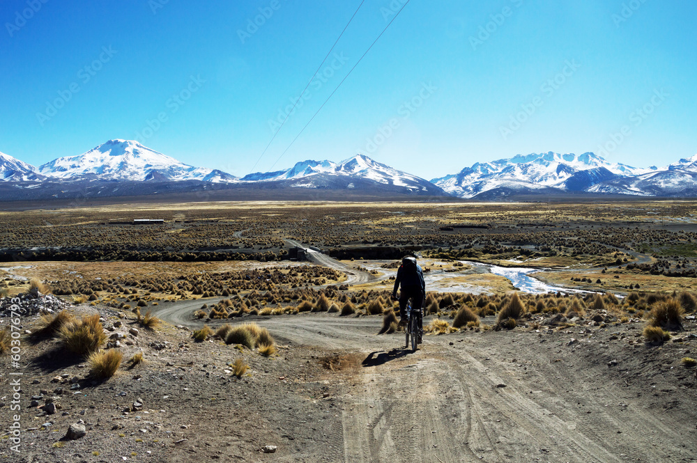 Man cycling on plains before snow capped mountains in Sajama National Park