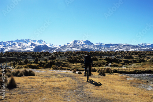 Man cycling through yellow vegetation in Paruqe Nacional Sajama photo