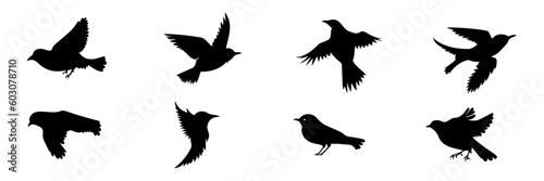 set of silhouettes of birds