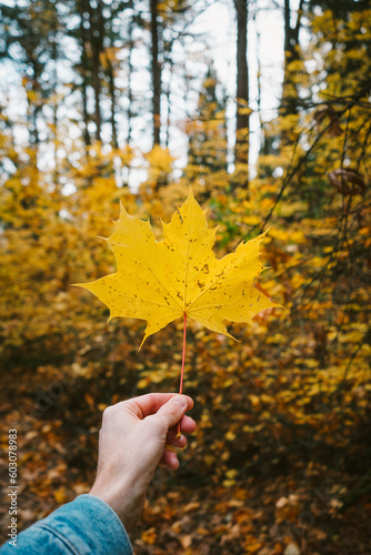 Leaf in hand in Oregon  photo