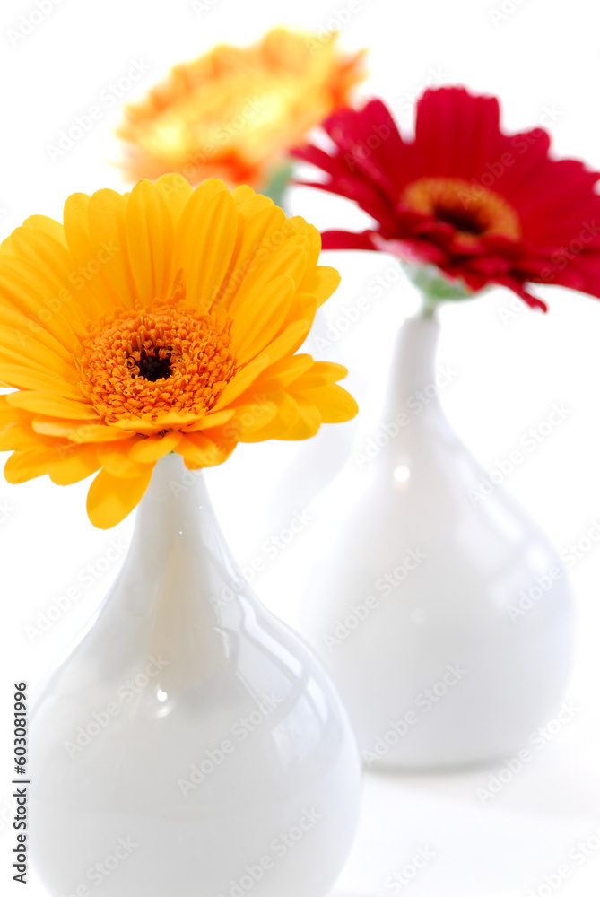Three vases with gerbera flowers isolated on white background as interior design element Three vases with gerbera flowers isolated on white background as interior design element