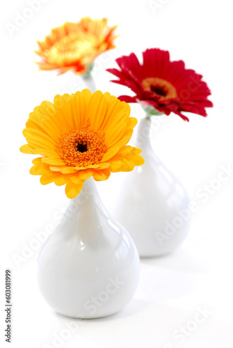 Three vases with gerbera flowers isolated on white background as interior design element © Designpics