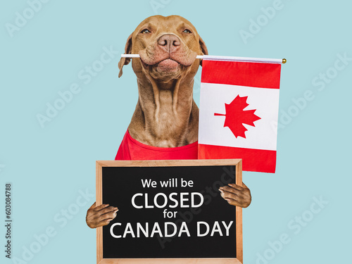 Signboard with the inscription We will be closed for Canada Day. Adorable brown puppy. Closeup, indoors. Studio shot. Congratulations for family, loved ones, friends and colleagues. Pet care concept