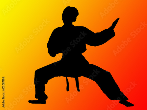 kung fu © Designpics