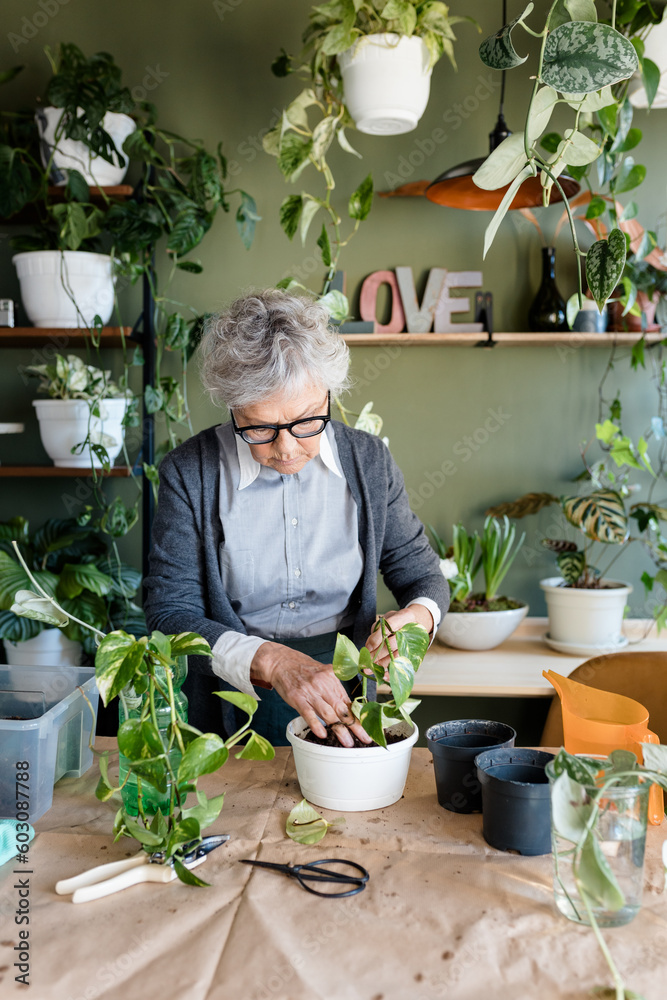 Woman Potting Plant Into Vase Woman Potting Plant Into Vase