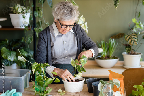 Woman Potting Plant Into Vase