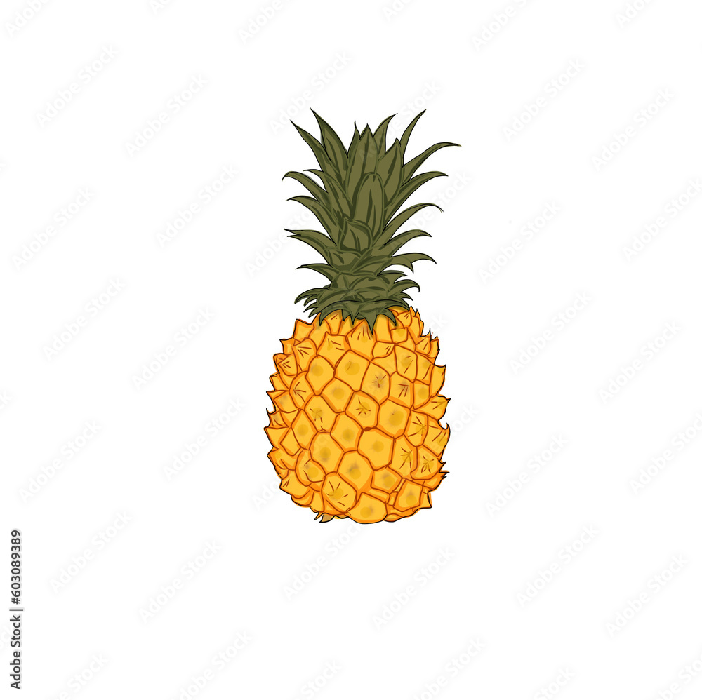 leafy ripe pineapple fruit on a white background leafy ripe pineapple fruit on a white background