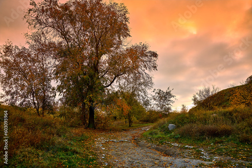 Autumn landscape at sunset, road and red clouds.