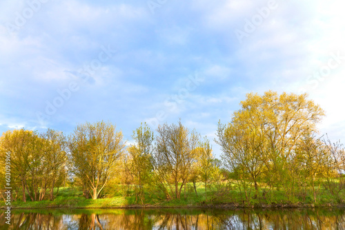 Spring dawn over the trees near the river with blue sky.