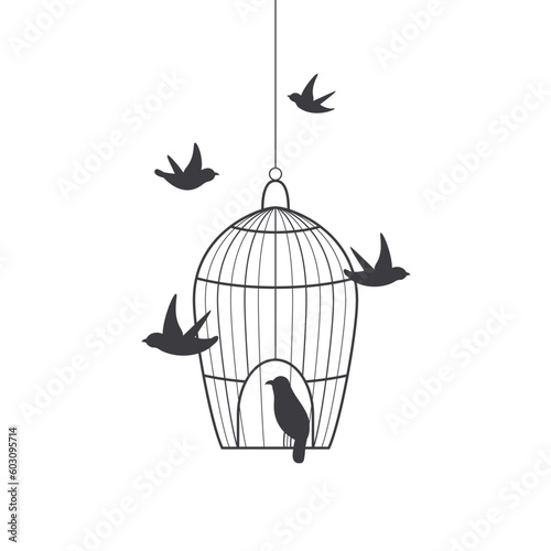 birds in cage