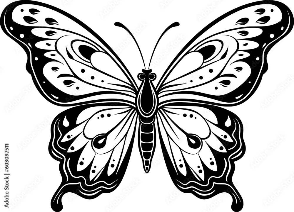 Butterfly Vector Butterfly Vector