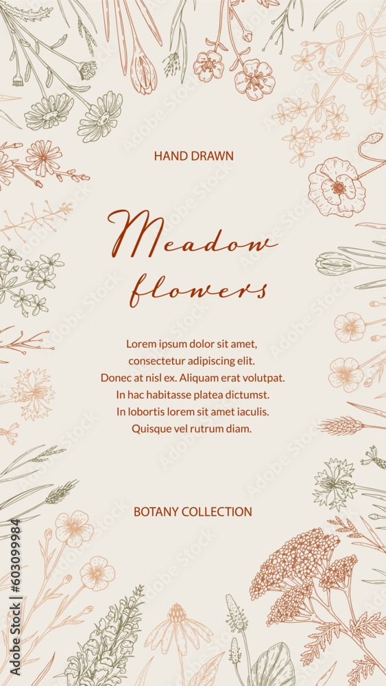 Summer vertical design with wildflowers. Hand drawn vector illustration in sketch style. Social media stories template. Meadow flowers poster. Wedding invitation