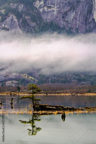 Fog lifts from Spit Estuary in Squamish, British Columbia © F&J McGinn