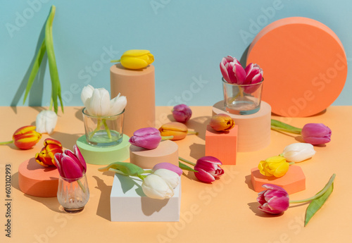 Still life of Spring tulip flowers on colorful background and shapes photo