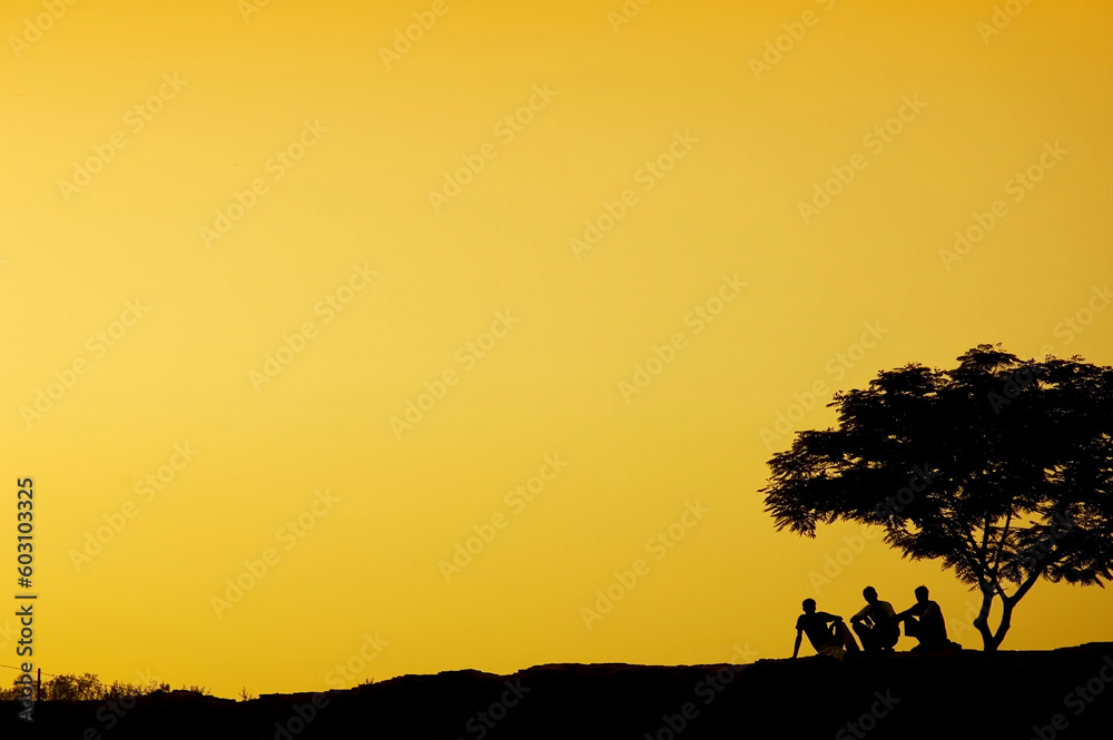 silhouette of three man relaxing beside a tree in sunset