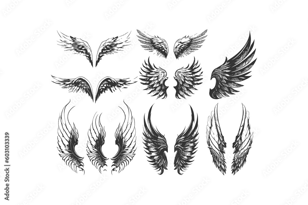 Wings icon set. Vector illustration desing.
