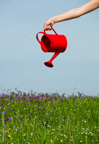 Female hand holding a water can and watering the flowers