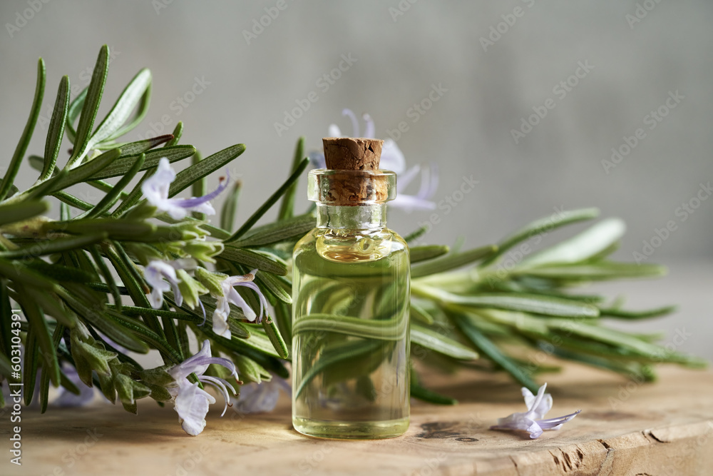 Essential oil with blooming rosemary plant Essential oil with blooming rosemary plant