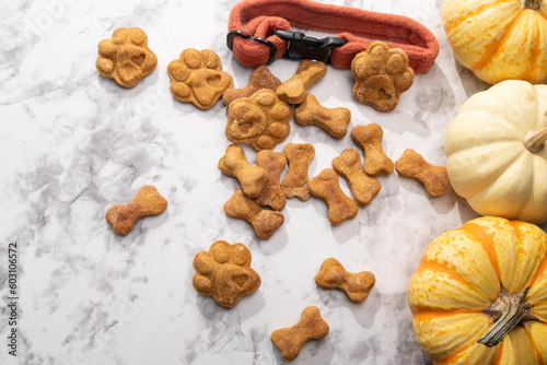 A pile of baked pumpkin dog treats on a marble background, with pumpkins and a burnt orange dog collar.