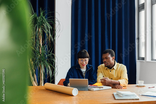 Two Colleagues Working Together in Office