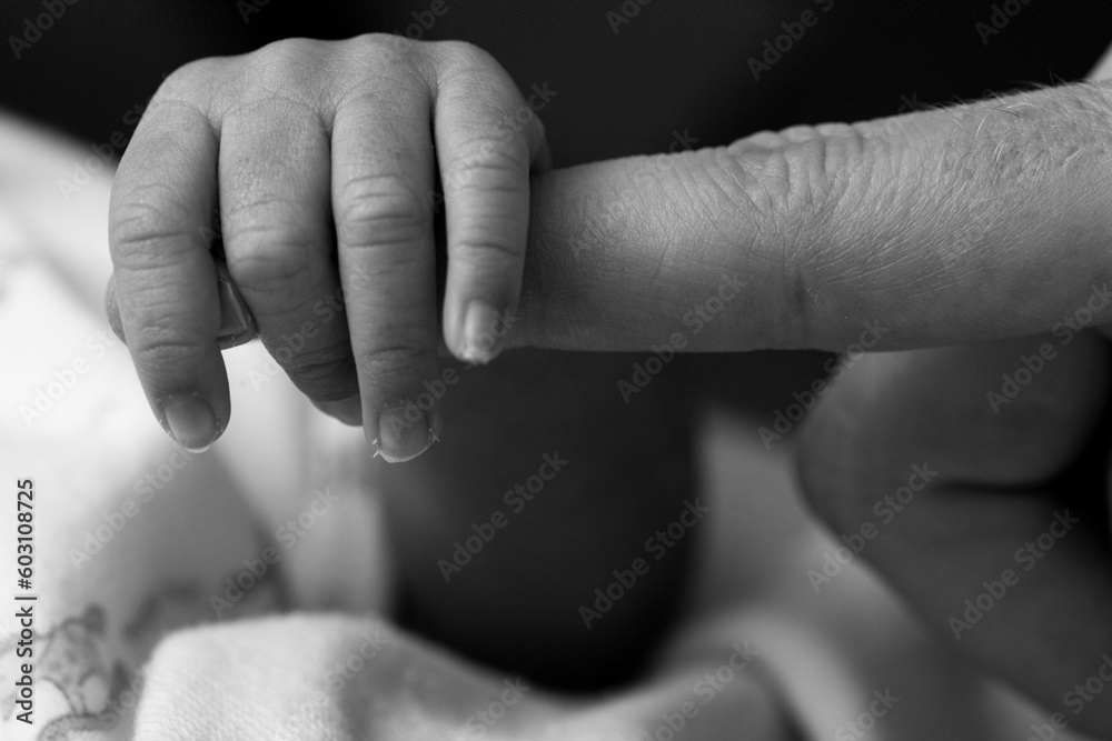 Tiny newborn baby fingers wrapped around adult female fingers up close in black and white