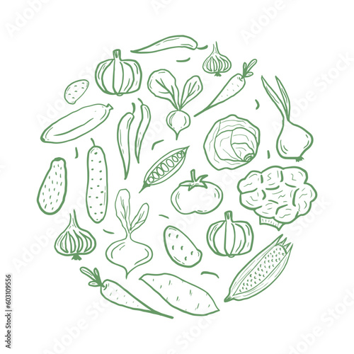 Fresh vegetables circle shape pattern for coloring book. Doodle healthy food mandala coloring page. Hand drawn print with corn, pumpkin, tomato, broccoli, etc. Vector illustration