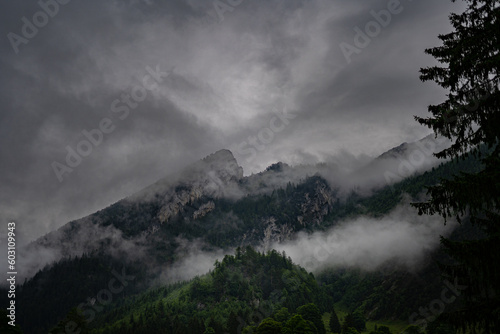 fog in the mountains © Robin