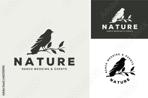 Classic Silhouette of Pigeon Dove Bird on Tree Branch for Nature Wildlife Vintage Label logo design