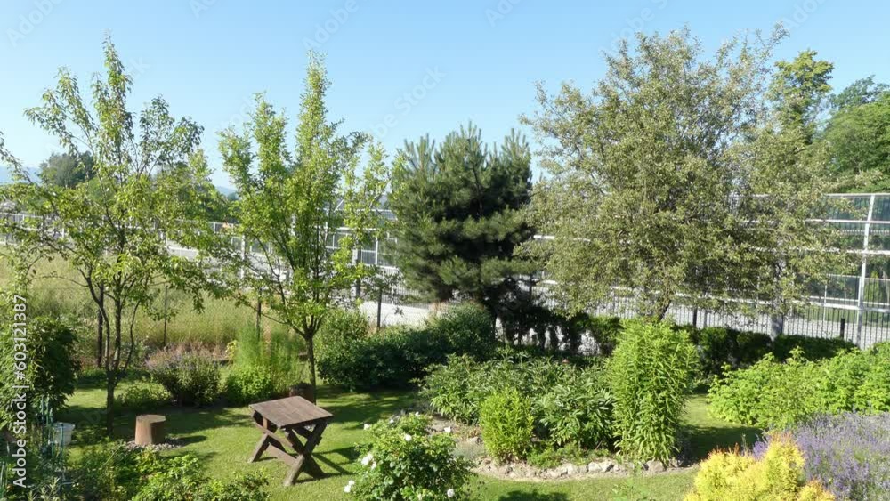 Fragment of garden and swallows flying low over trees and bushes on sunny weather - in slow motion. Fragment of garden and swallows flying low over trees and bushes on sunny weather - in slow motion.