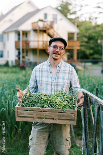 Farmer in garden at home holding basket of hardneck garlic scapes photo