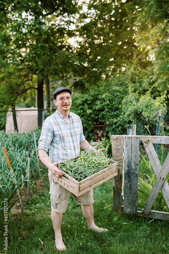 Farmer in garden at home holding basket of hardneck garlic scapes photo