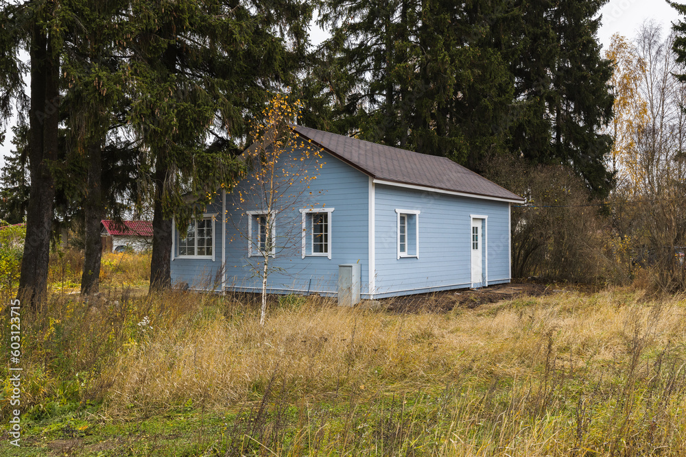 Small cozy blue house in the forest under tree Small cozy blue house in the forest under tree