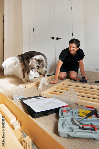 Man with dog assembling a bed in an apartment 