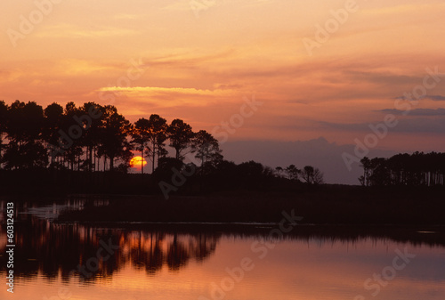 ACE Basin Ashepoo River wetlands spring sunrise South Carolina photo