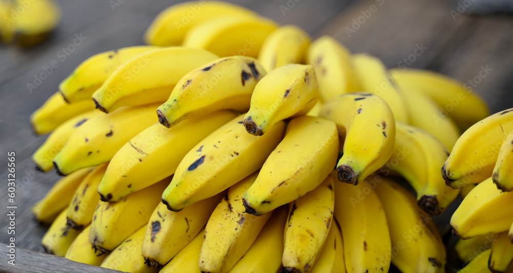Close up of bunch of banana fruit. Selective focus.