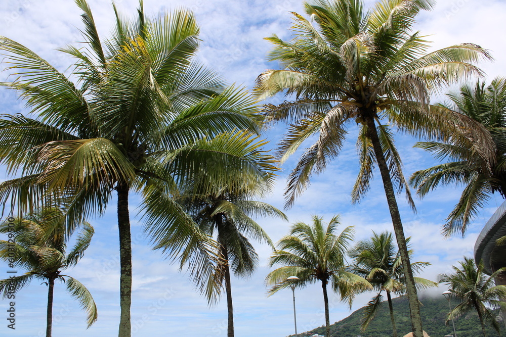 custom made wallpaper toronto digitalSummer